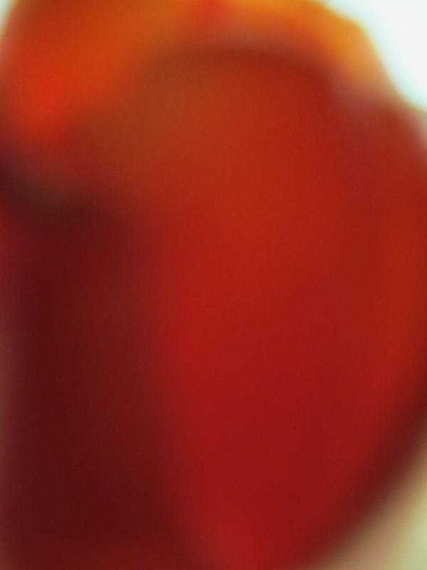 SÉRIE #2